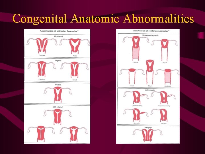 Congenital Anatomic Abnormalities 