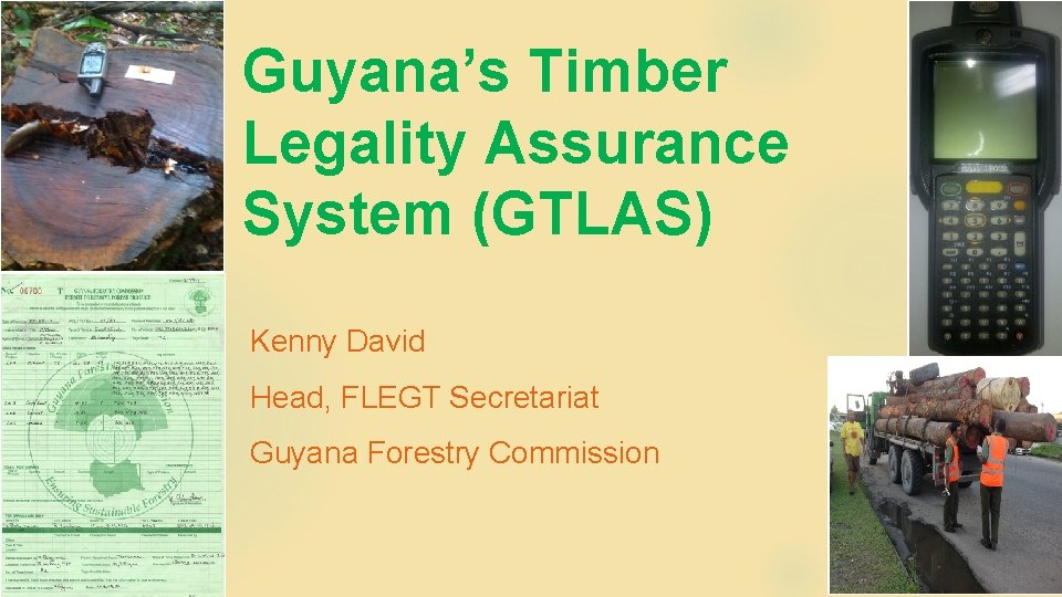 Guyana’s Timber Legality Assurance System (GTLAS) Kenny David Head, FLEGT Secretariat Guyana Forestry Commission