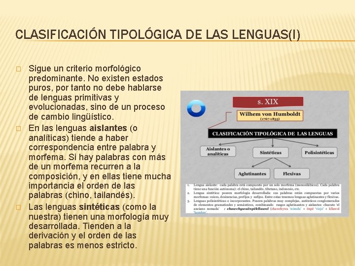 CLASIFICACIÓN TIPOLÓGICA DE LAS LENGUAS(I) � � � Sigue un criterio morfológico predominante. No