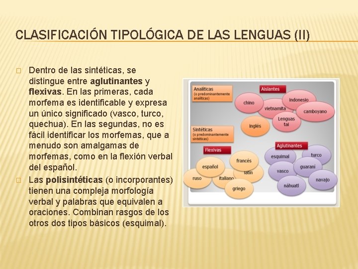 CLASIFICACIÓN TIPOLÓGICA DE LAS LENGUAS (II) � � Dentro de las sintéticas, se distingue