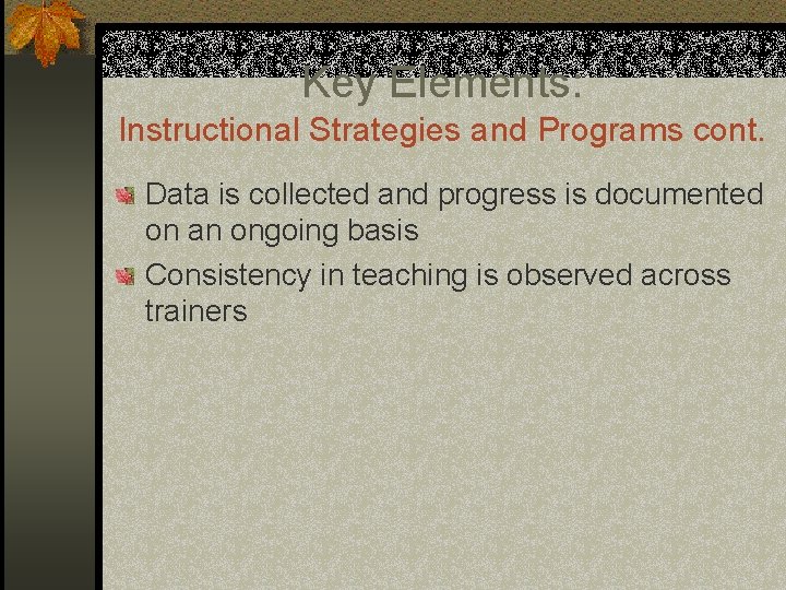 Key Elements: Instructional Strategies and Programs cont. Data is collected and progress is documented
