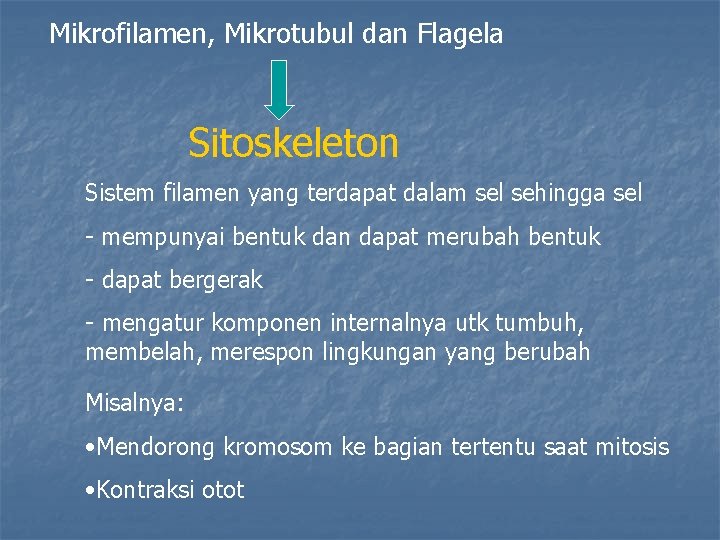Mikrofilamen, Mikrotubul dan Flagela Sitoskeleton Sistem filamen yang terdapat dalam sel sehingga sel -