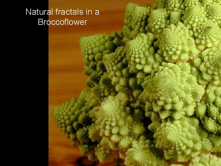 Natural fractals in a Broccoflower 