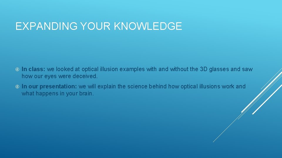 EXPANDING YOUR KNOWLEDGE In class: we looked at optical illusion examples with and without