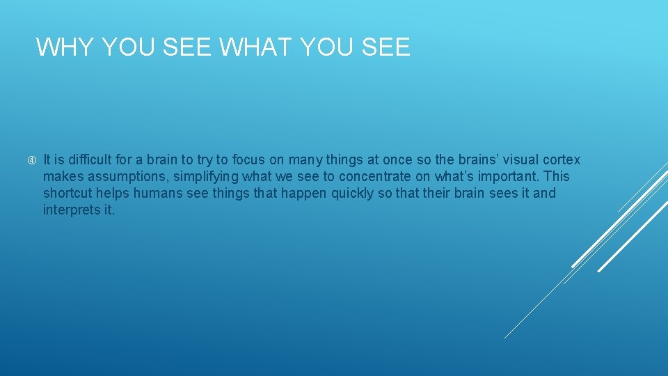 WHY YOU SEE WHAT YOU SEE It is difficult for a brain to try