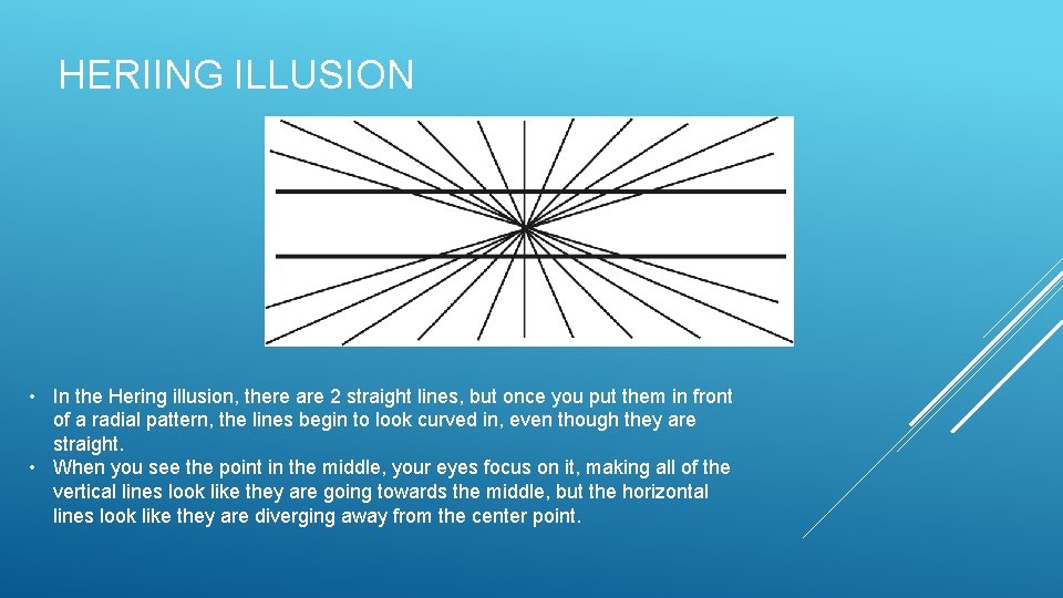 HERIING ILLUSION • In the Hering illusion, there are 2 straight lines, but once