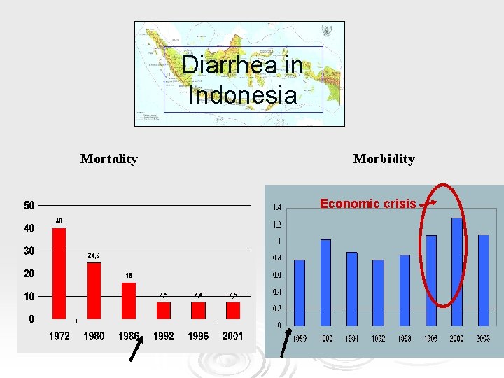 Diarrhea in Indonesia Mortality Morbidity Economic crisis 