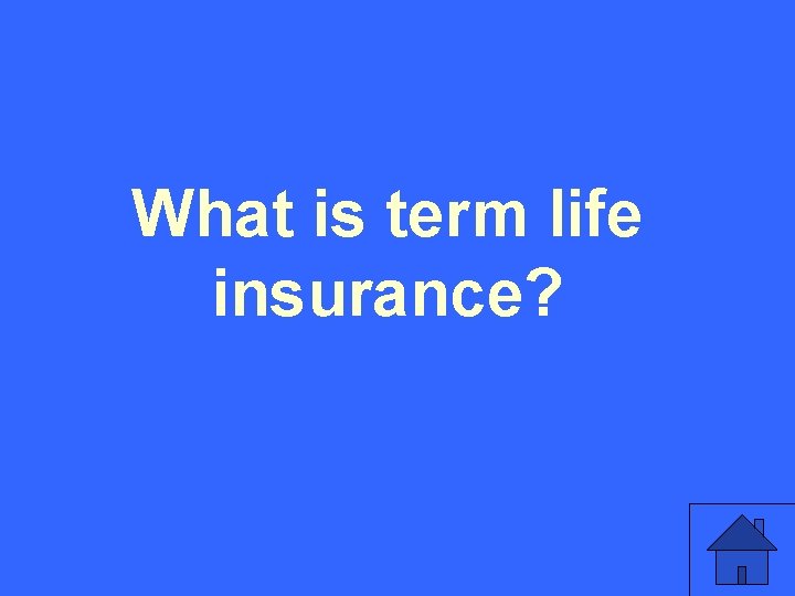 What is term life insurance? 