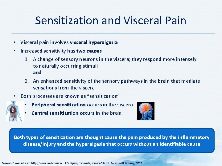 Sensitization and Visceral Pain • Visceral pain involves visceral hyperalgesia • Increased sensitivity has