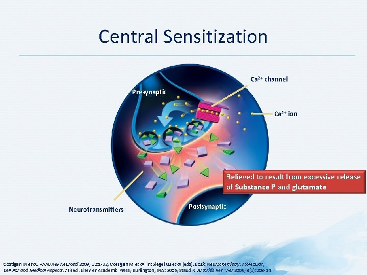Central Sensitization Ca 2+ channel Presynaptic Ca 2+ ion Believed to result from excessive