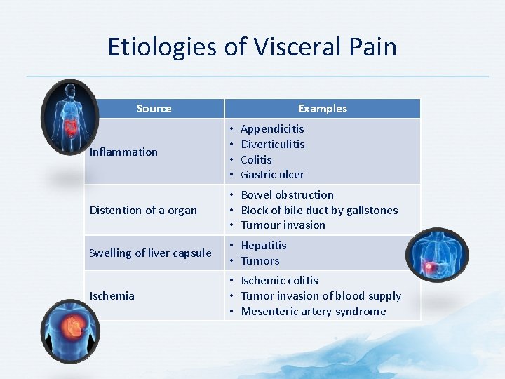 Etiologies of Visceral Pain Source Examples Appendicitis Diverticulitis Colitis Gastric ulcer Inflammation • •