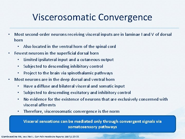 Viscerosomatic Convergence • Most second-order neurons receiving visceral inputs are in laminae I and