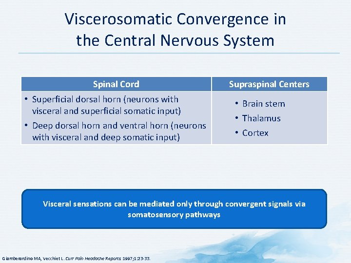 Viscerosomatic Convergence in the Central Nervous System Spinal Cord • Superficial dorsal horn (neurons