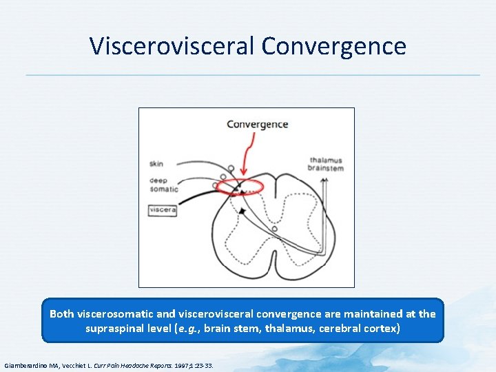 Viscerovisceral Convergence Both viscerosomatic and viscerovisceral convergence are maintained at the supraspinal level (e.