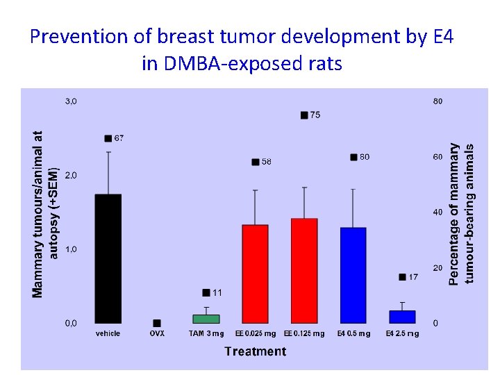 Prevention of breast tumor development by E 4 in DMBA-exposed rats 
