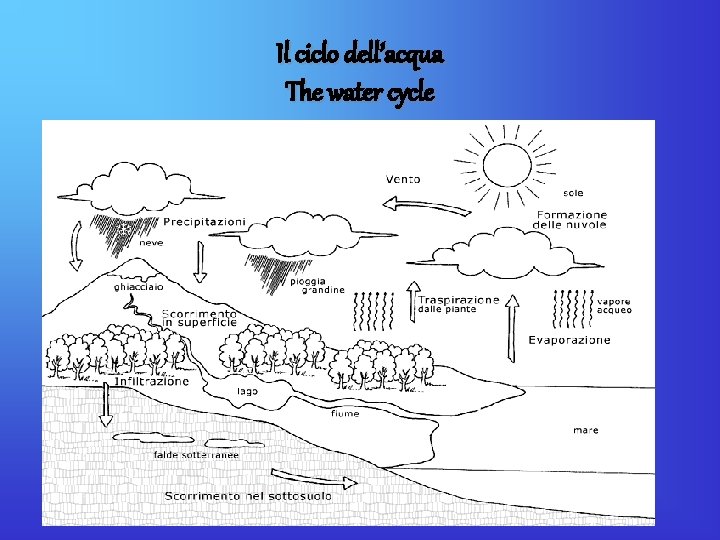 Il ciclo dell’acqua The water cycle 