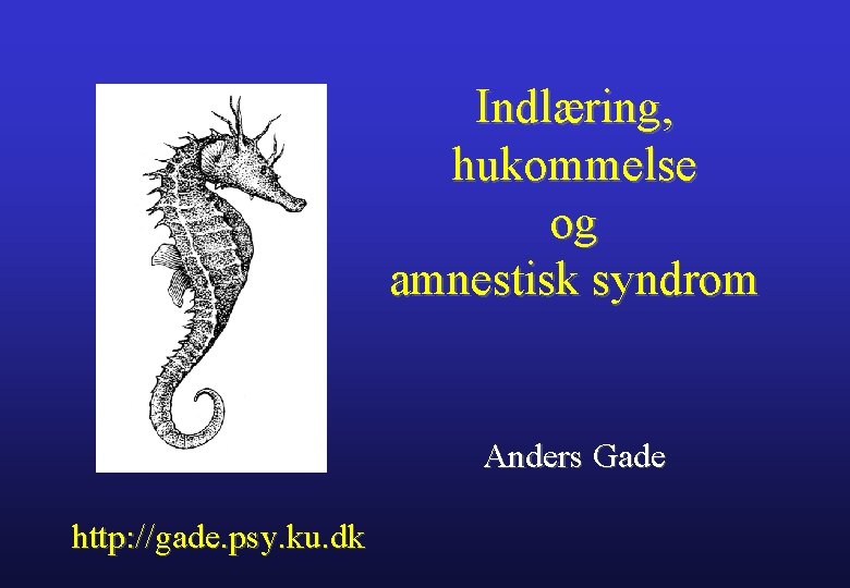 Indlæring, hukommelse og amnestisk syndrom Anders Gade http: //gade. psy. ku. dk 