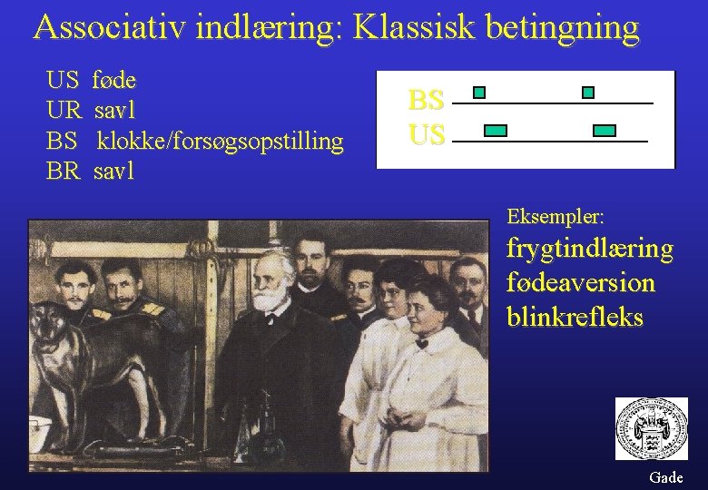 Associativ indlæring: Klassisk betingning US UR BS BR føde savl klokke/forsøgsopstilling savl BS US
