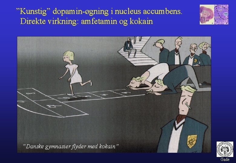 ”Kunstig” dopamin-øgning i nucleus accumbens. Direkte virkning: amfetamin og kokain ”Danske gymnasier flyder med