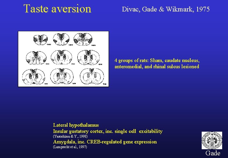 Taste aversion Divac, Gade & Wikmark, 1975 4 groups of rats: Sham, caudate nucleus,