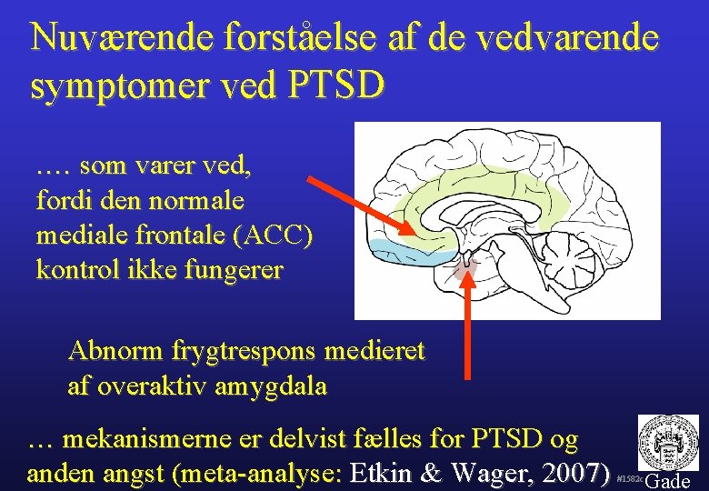 Nuværende forståelse af de vedvarende symptomer ved PTSD. … som varer ved, fordi den