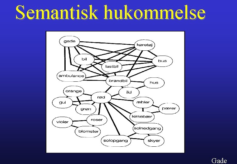 Semantisk hukommelse Gade 