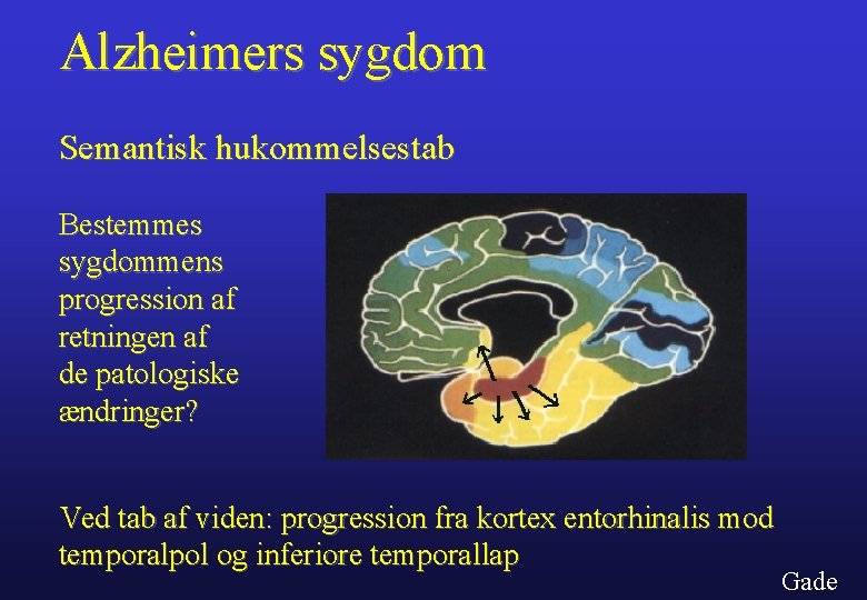 Alzheimers sygdom Semantisk hukommelsestab Bestemmes sygdommens progression af retningen af de patologiske ændringer? Ved