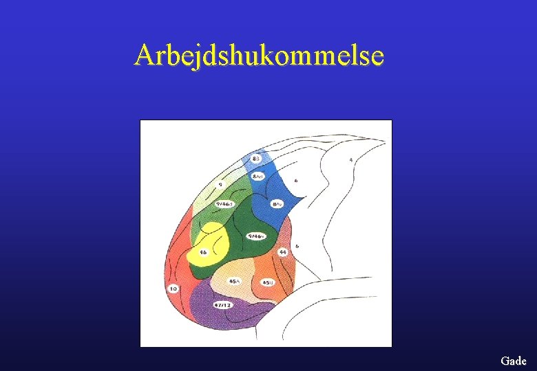 Arbejdshukommelse Gade 