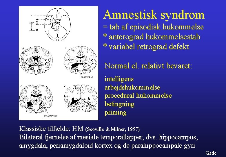 Amnestisk syndrom = tab af episodisk hukommelse * anterograd hukommelsestab * variabel retrograd defekt