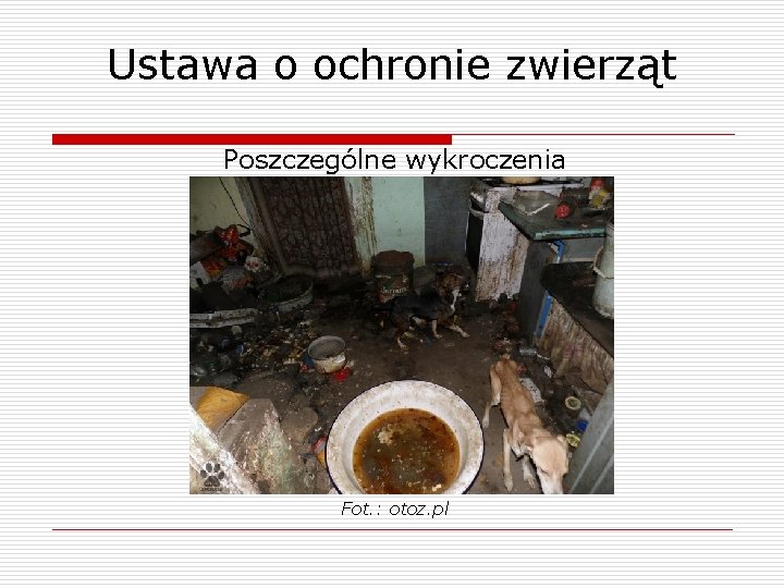 Ustawa o ochronie zwierząt Poszczególne wykroczenia Fot. : otoz. pl 