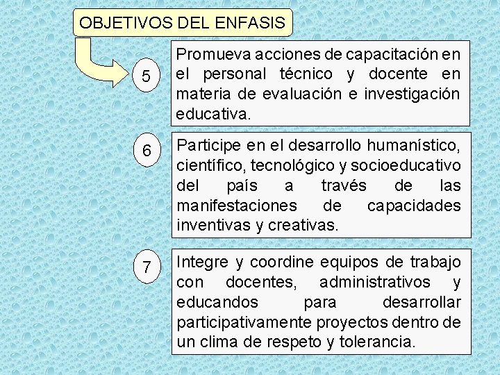 OBJETIVOS DEL ENFASIS 5 Promueva acciones de capacitación en el personal técnico y docente