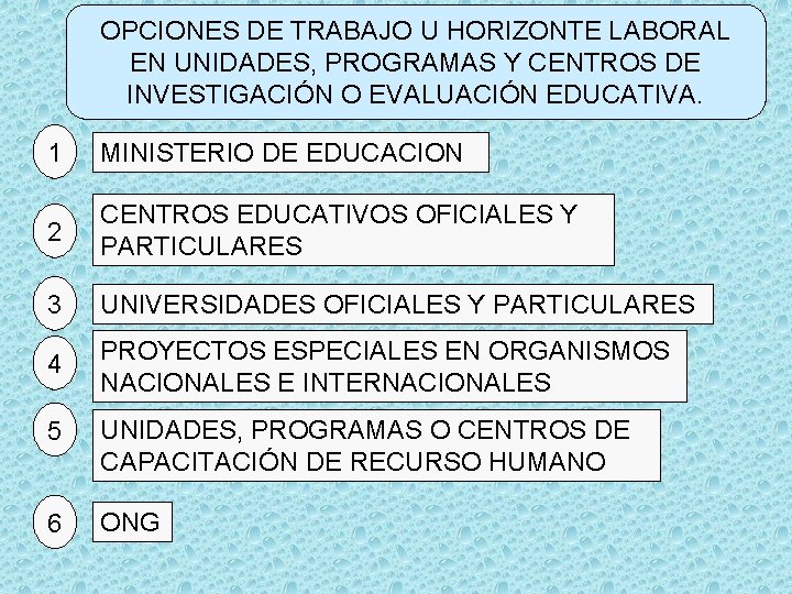 OPCIONES DE TRABAJO U HORIZONTE LABORAL EN UNIDADES, PROGRAMAS Y CENTROS DE INVESTIGACIÓN O