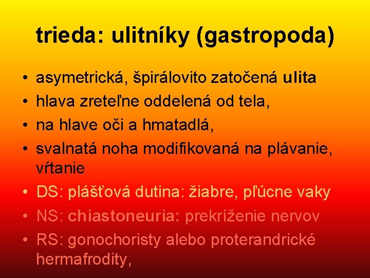 trieda: ulitníky (gastropoda) • • asymetrická, špirálovito zatočená ulita hlava zreteľne oddelená od tela,