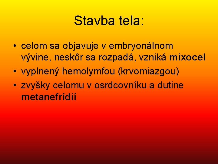 Stavba tela: • celom sa objavuje v embryonálnom vývine, neskôr sa rozpadá, vzniká mixocel