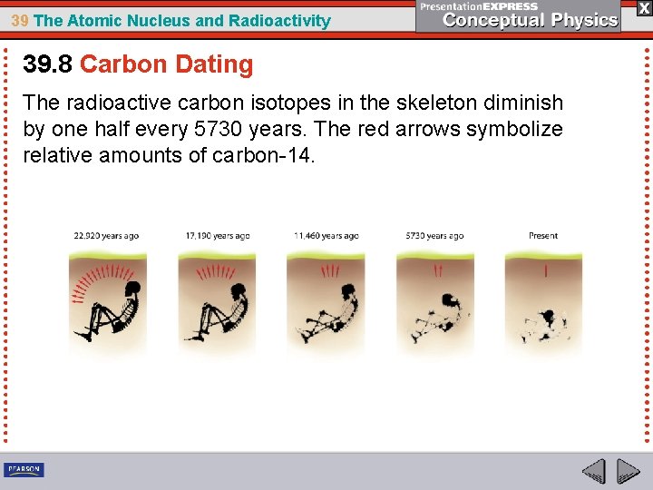 39 The Atomic Nucleus and Radioactivity 39. 8 Carbon Dating The radioactive carbon isotopes
