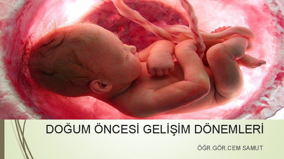 DOĞUM ÖNCESİ GELİŞİM DÖNEMLERİ ÖĞR. GÖR. CEM SAMUT 