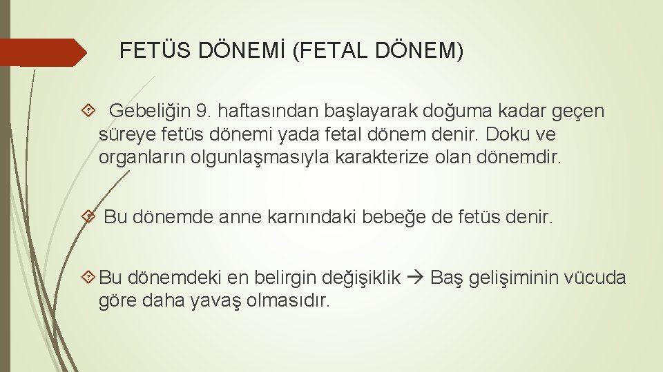 FETÜS DÖNEMİ (FETAL DÖNEM) Gebeliğin 9. haftasından başlayarak doğuma kadar geçen süreye fetüs dönemi