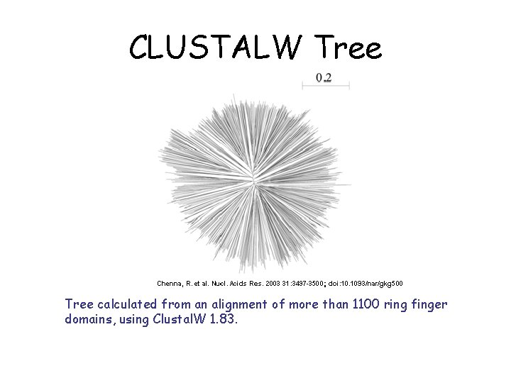 CLUSTALW Tree calculated from an alignment of more than 1100 ring finger domains, using