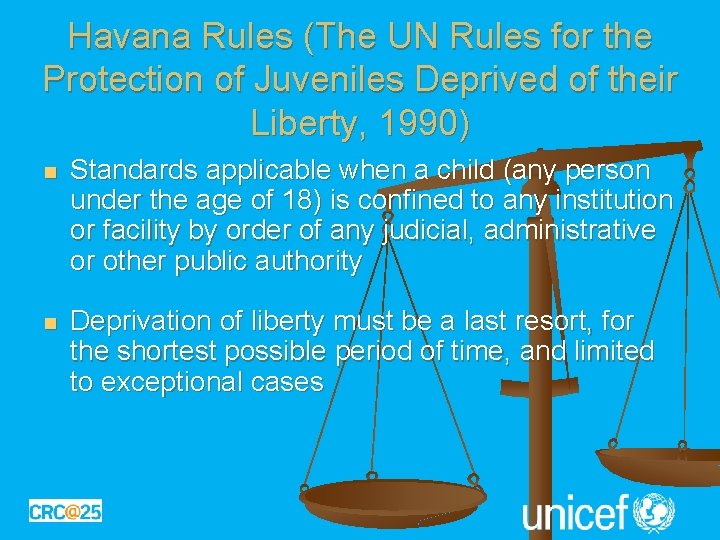 Havana Rules (The UN Rules for the Protection of Juveniles Deprived of their Liberty,