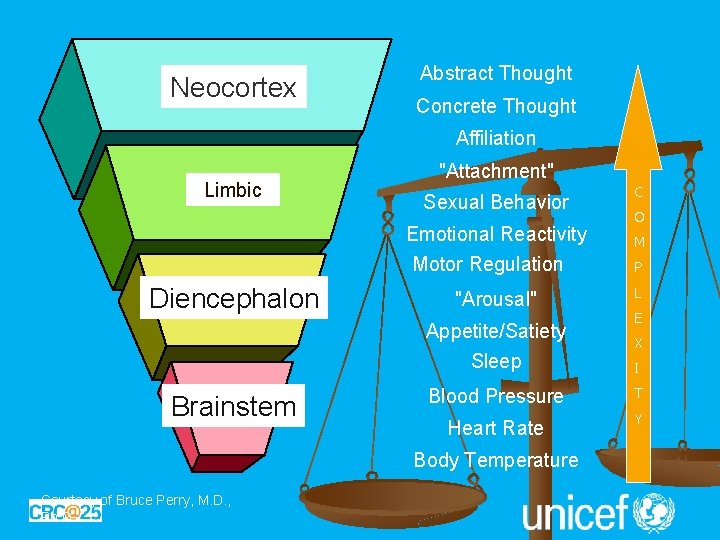 Neocortex Abstract Thought Concrete Thought Affiliation Limbic "Attachment" Sexual Behavior Emotional Reactivity Motor Regulation