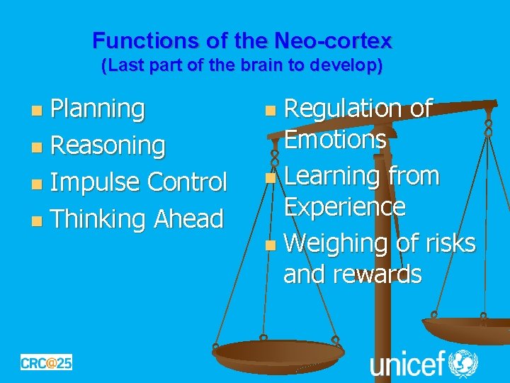 Functions of the Neo-cortex (Last part of the brain to develop) Planning n Reasoning