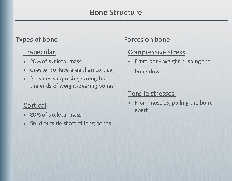 Bone Structure Types of bone Trabecular w w w 20% of skeletal mass Greater