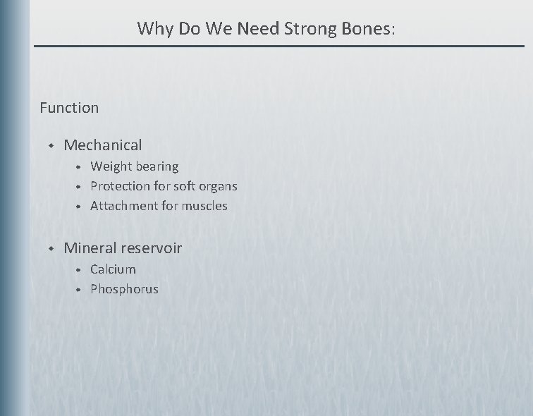 Why Do We Need Strong Bones: Function w Mechanical w w Weight bearing Protection