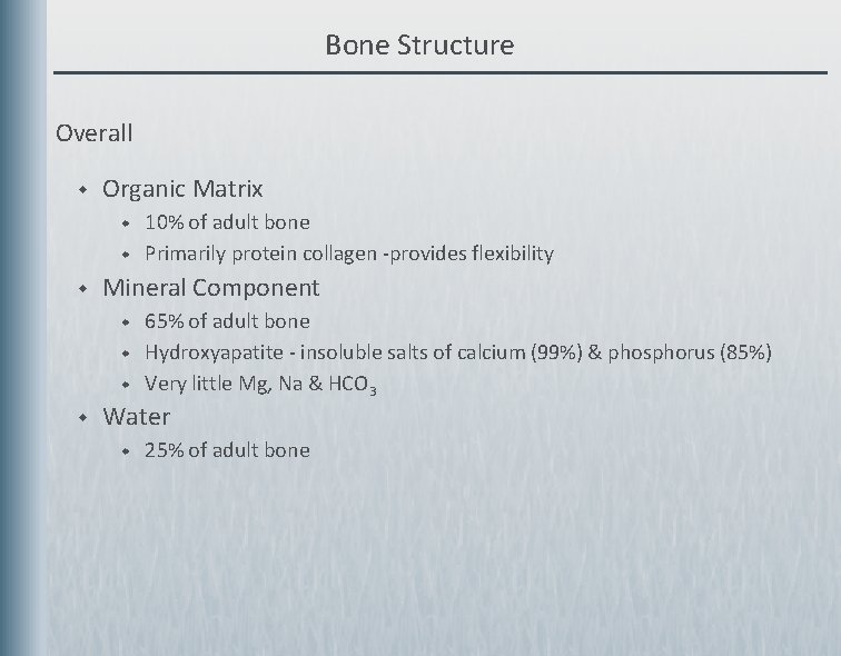 Bone Structure Overall w Organic Matrix w w w Mineral Component w w 10%