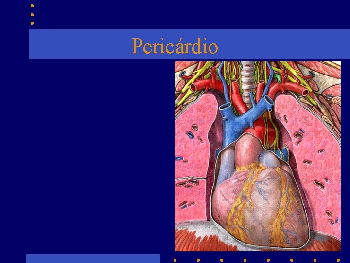 Pericárdio 