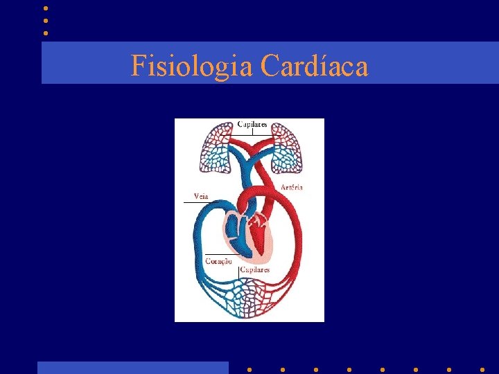 Fisiologia Cardíaca 