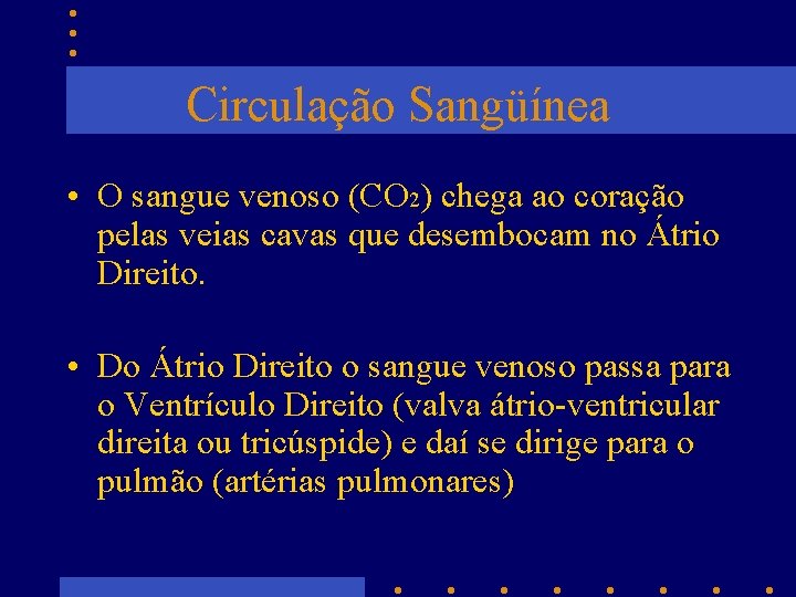 Circulação Sangüínea • O sangue venoso (CO 2) chega ao coração pelas veias cavas