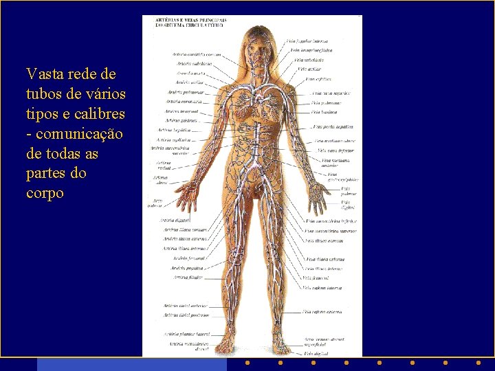 Vasta rede de tubos de vários tipos e calibres - comunicação de todas as