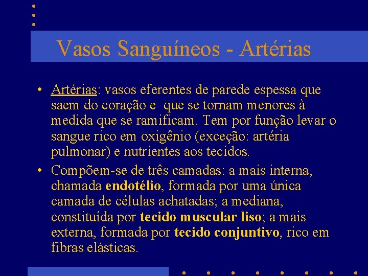 Vasos Sanguíneos - Artérias • Artérias: vasos eferentes de parede espessa que saem do