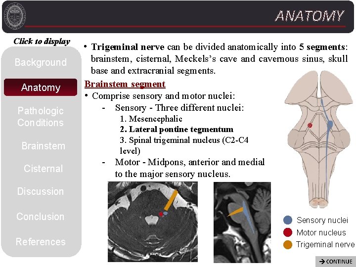 ANATOMY Click to display Background Anatomy Pathologic Conditions Brainstem Cisternal • Trigeminal nerve can